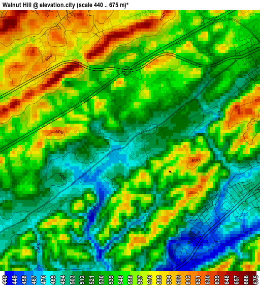 Walnut Hill elevation map