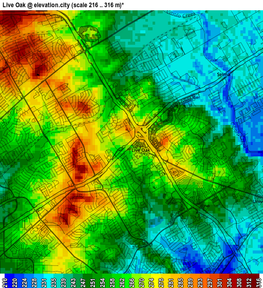 Live Oak elevation map