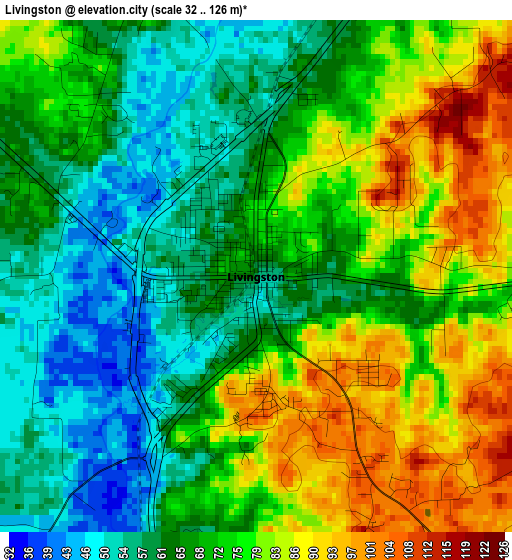 Livingston elevation map