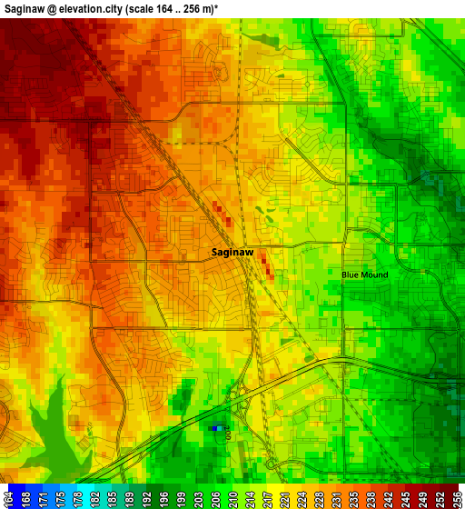 Saginaw elevation map