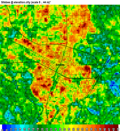 Silsbee elevation map