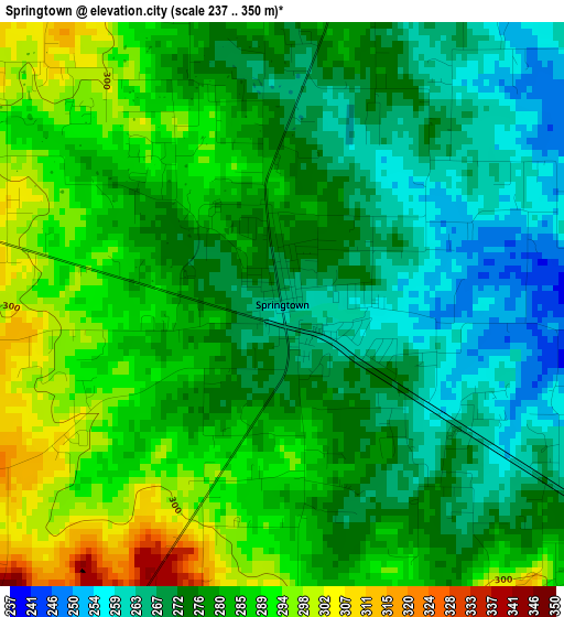 Springtown elevation map