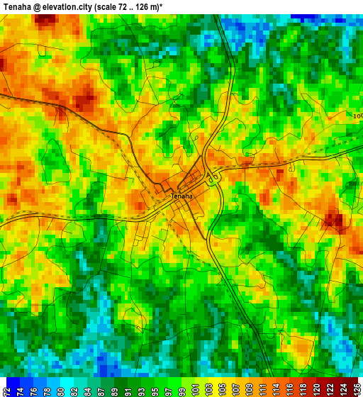 Tenaha elevation map