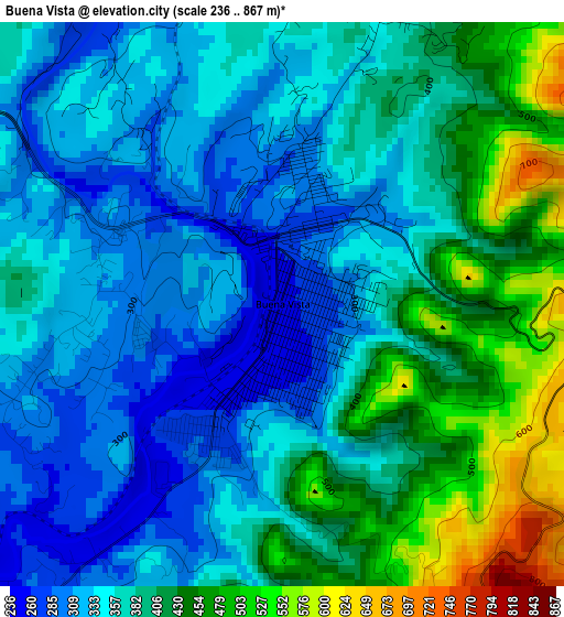 Buena Vista elevation map