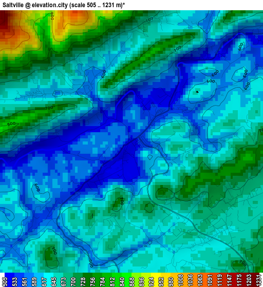 Saltville elevation map