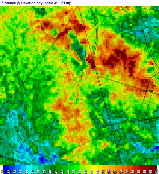 Florence elevation map