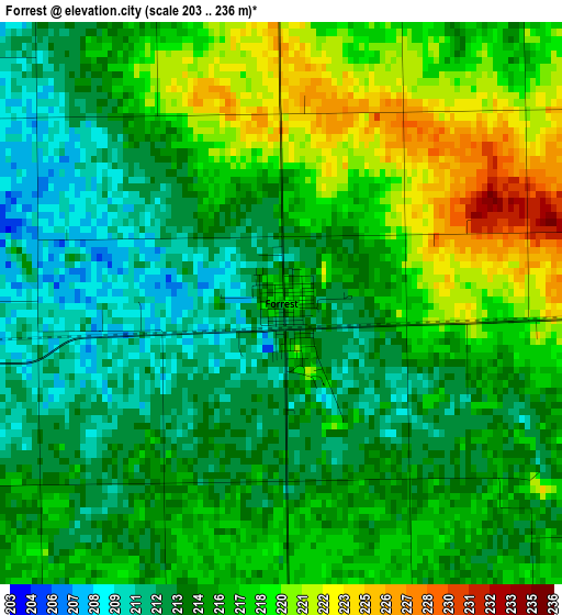 Forrest elevation map