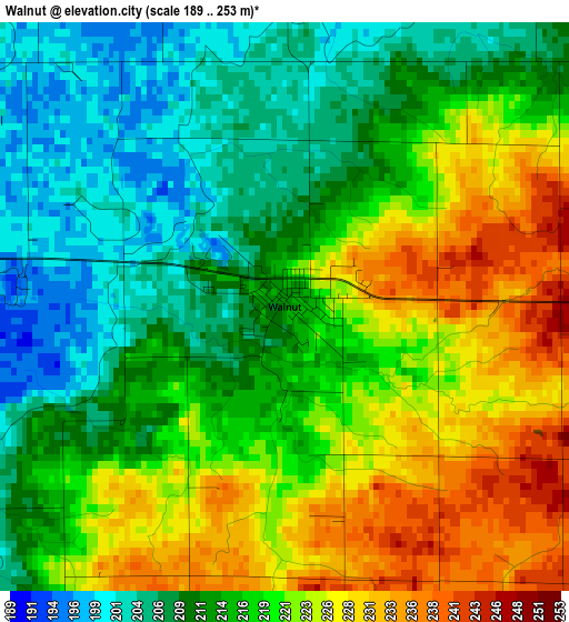 Walnut elevation map