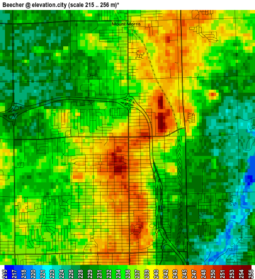 Beecher elevation map