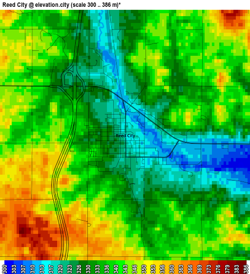 Reed City elevation map