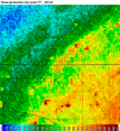 Reese elevation map