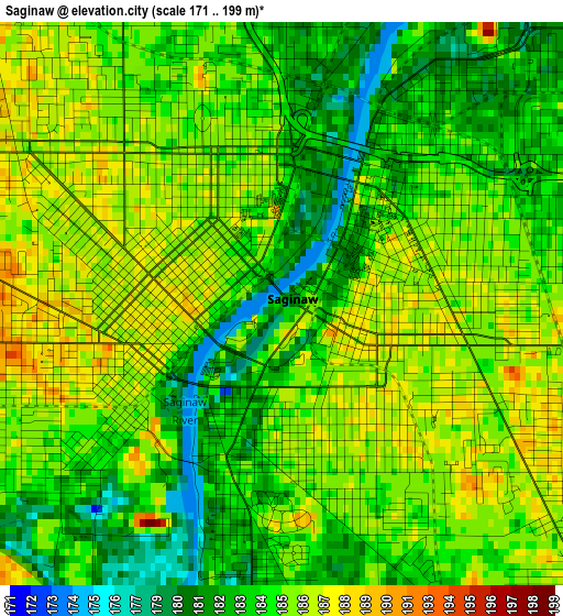 Saginaw elevation map