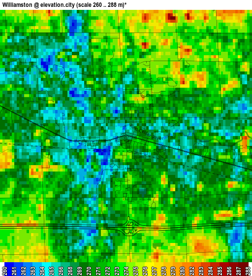 Williamston elevation map