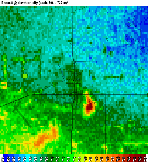 Bassett elevation map