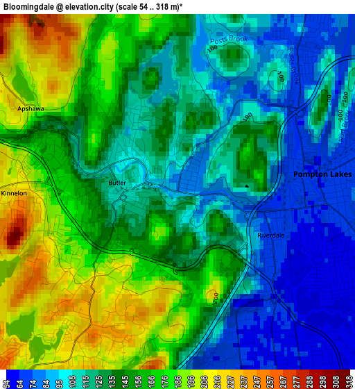 Bloomingdale elevation map