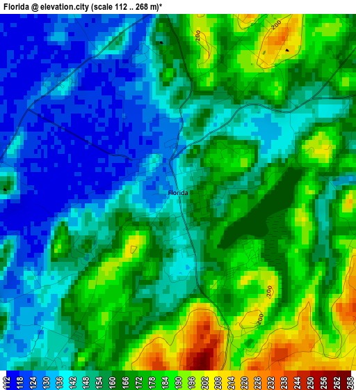 Florida elevation map