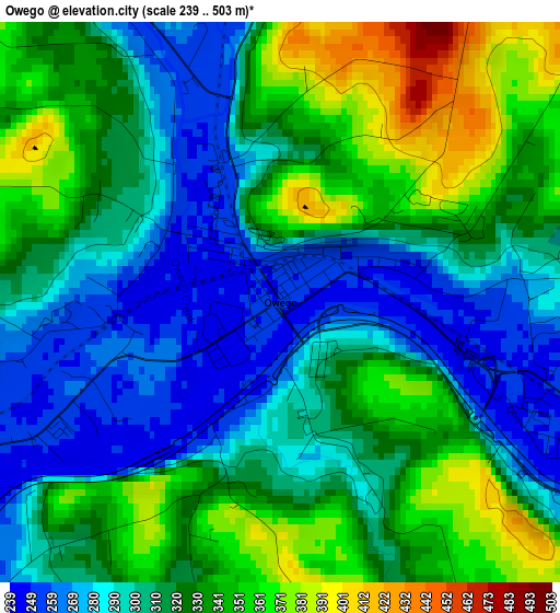 Owego elevation map