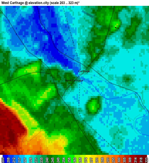 West Carthage elevation map