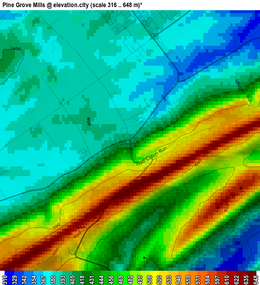 Pine Grove Mills elevation map