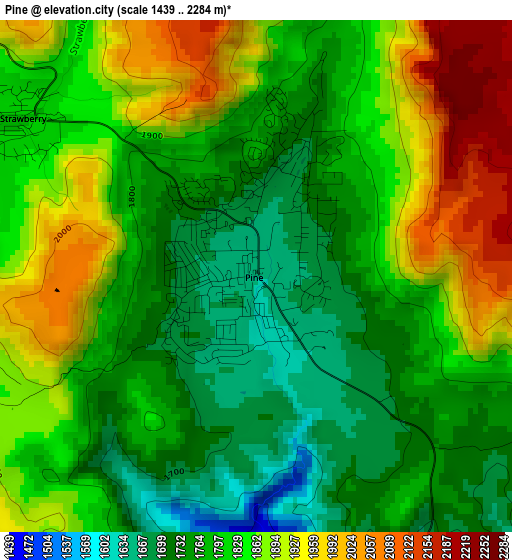 Pine elevation map