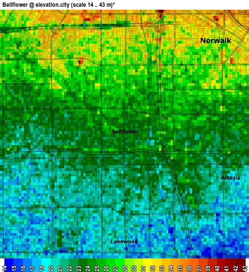 Bellflower elevation map