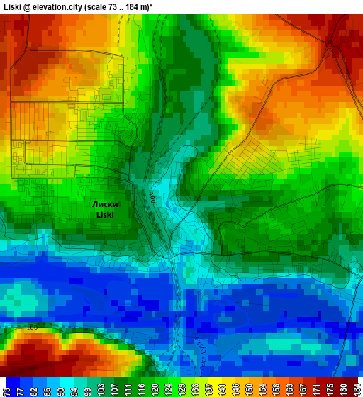 Liski elevation map