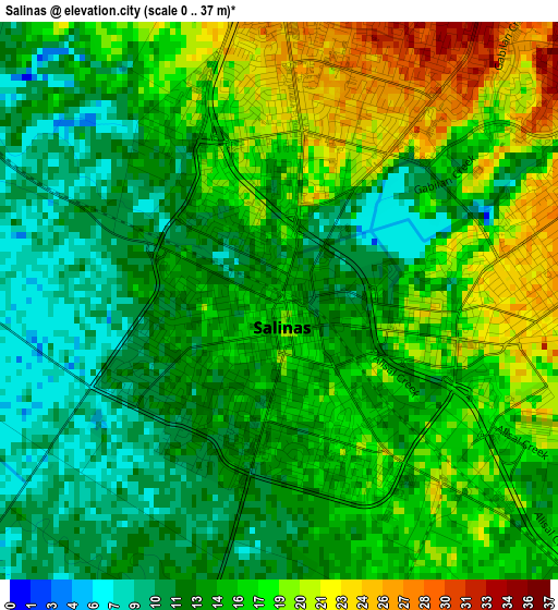 Salinas elevation map