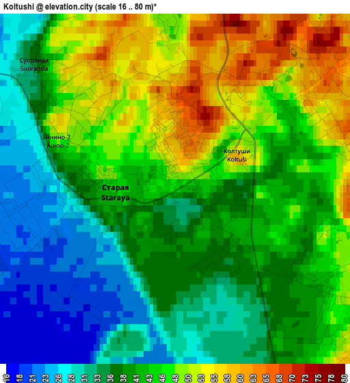 Koltushi elevation map