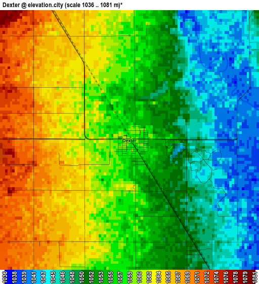 Dexter elevation map