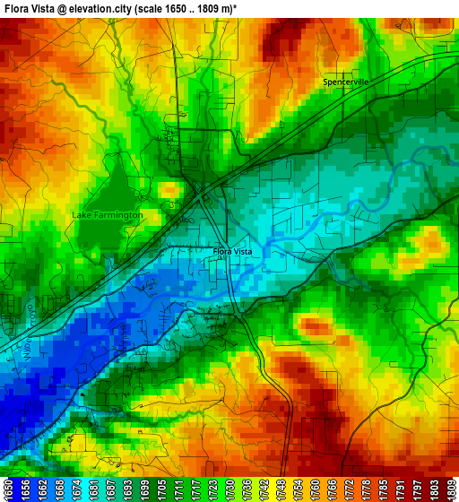 Flora Vista elevation map