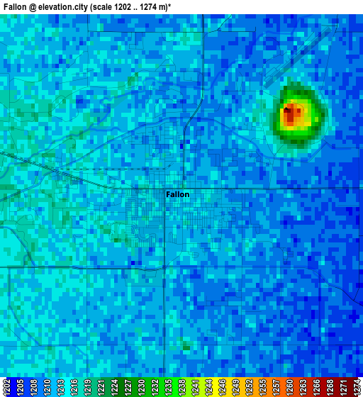 Fallon elevation map