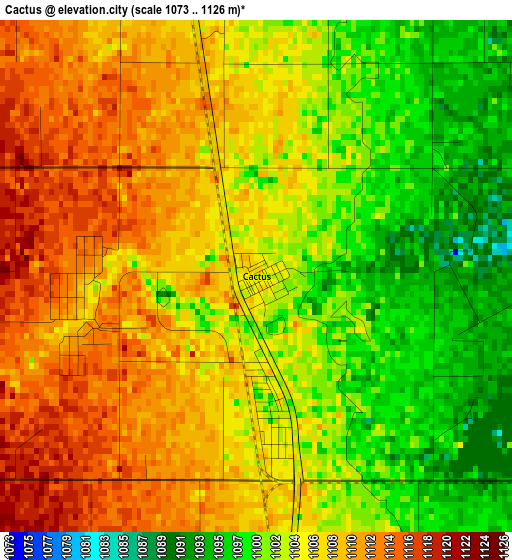 Cactus elevation map