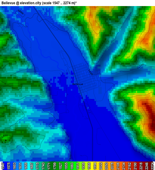 Bellevue elevation map