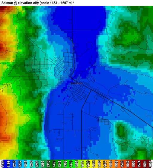 Salmon elevation map