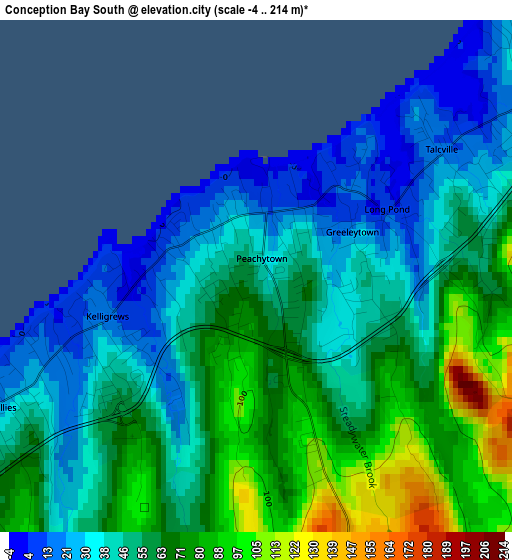 Conception Bay South elevation map