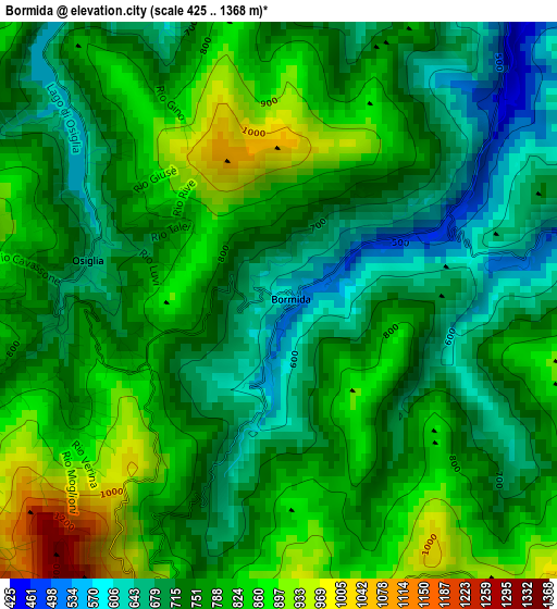 Bormida elevation map