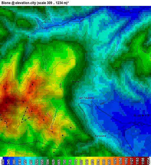 Bione elevation map