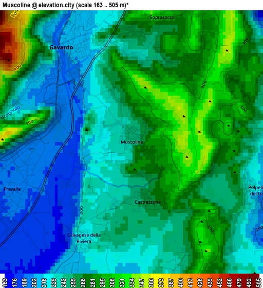 Muscoline elevation map