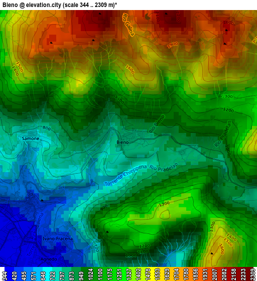 Bieno elevation map