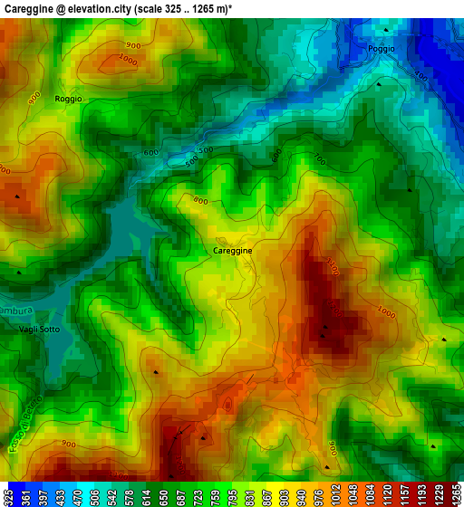 Careggine elevation map