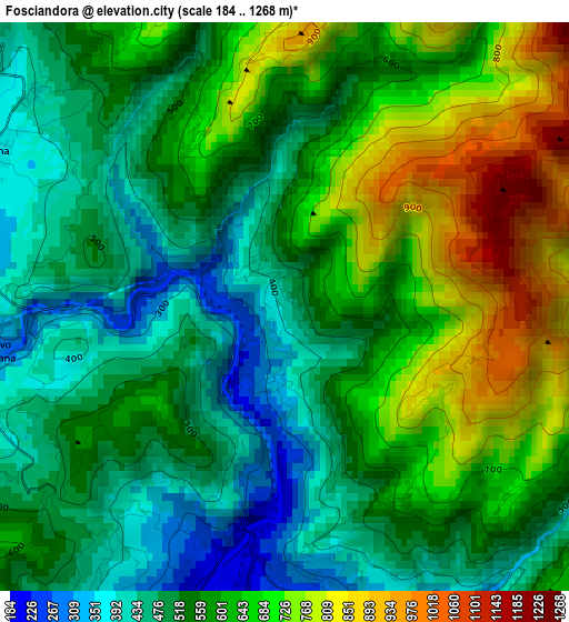 Fosciandora elevation map