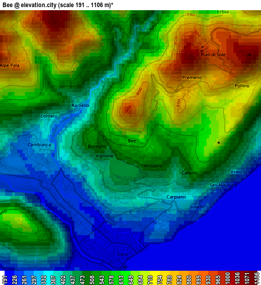 Bee elevation map