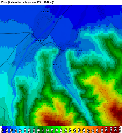 Zizin elevation map