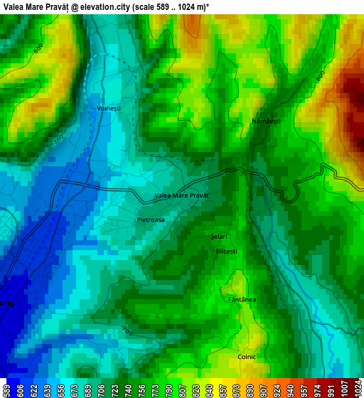 Valea Mare Pravăț elevation map