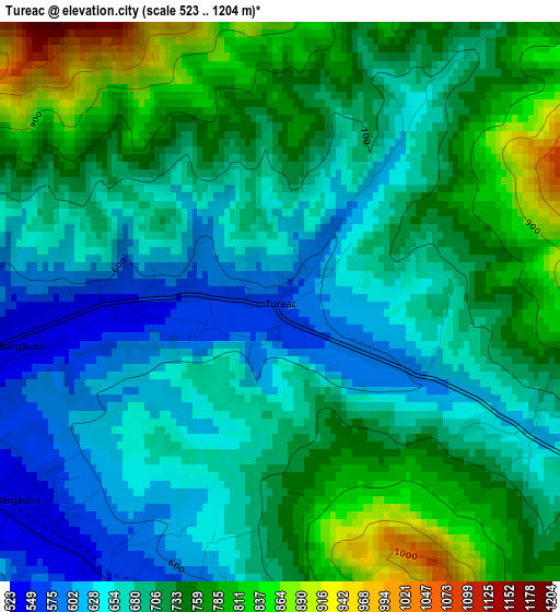 Tureac elevation map