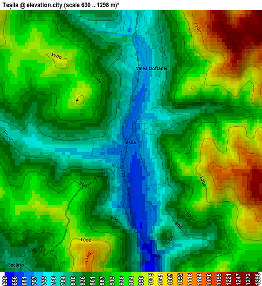 Teșila elevation map