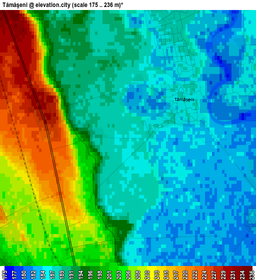 Tămăşeni elevation map