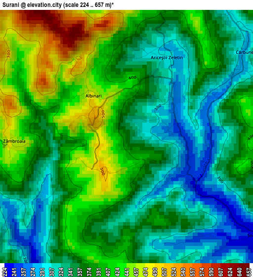 Surani elevation map