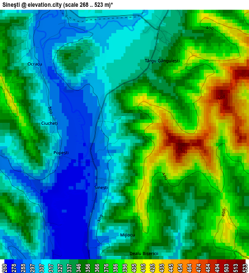 Sineşti elevation map