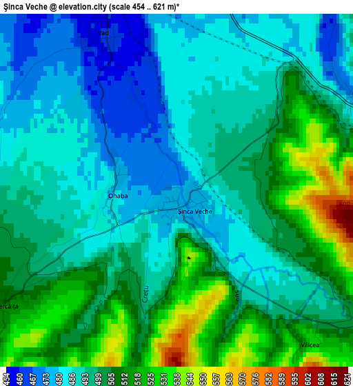 Şinca Veche elevation map